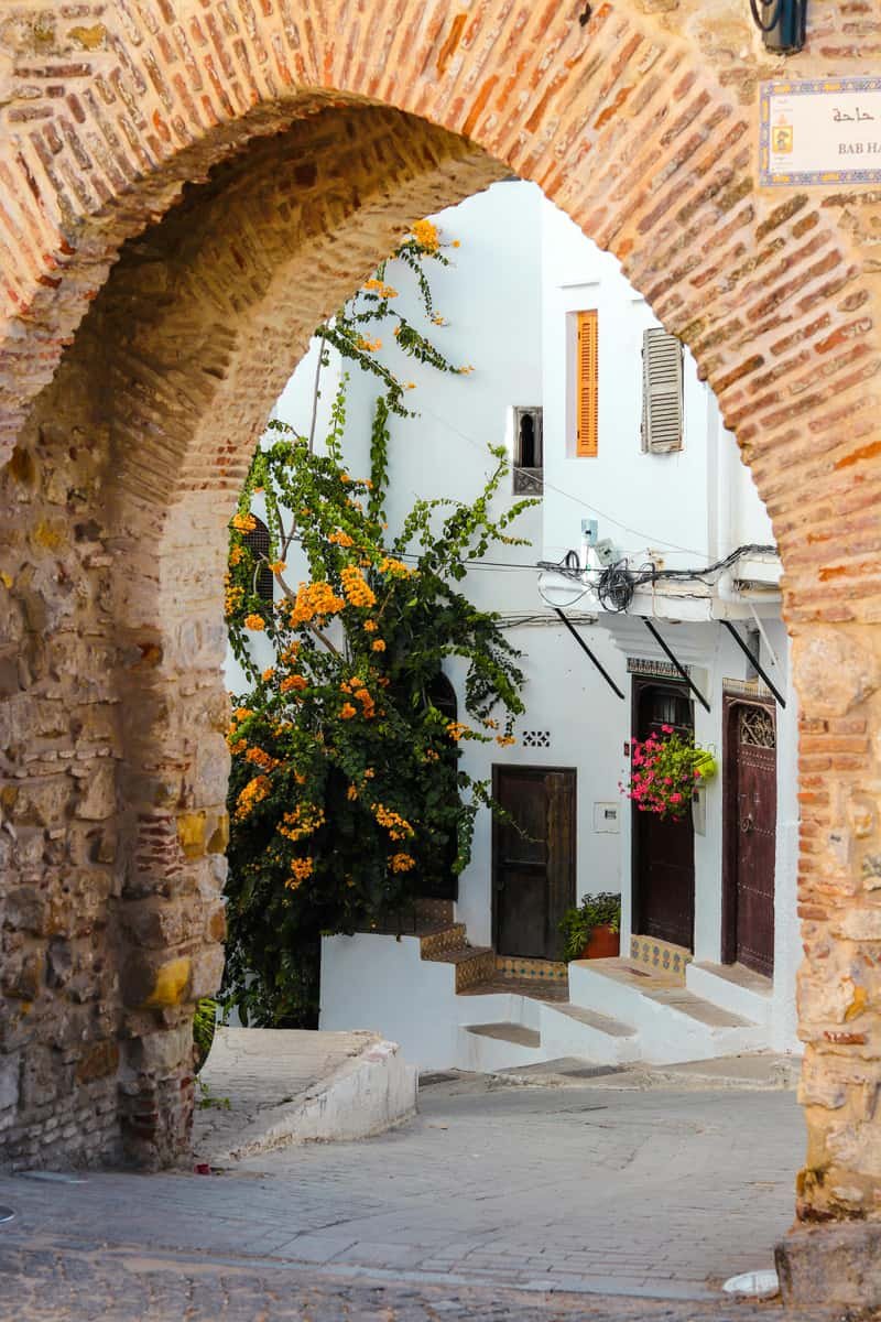 Brick horseshoe arch of Bab Haha framing a whitewashed lane in the Tangier medina, with an orange flowering climber and carved wooden doors