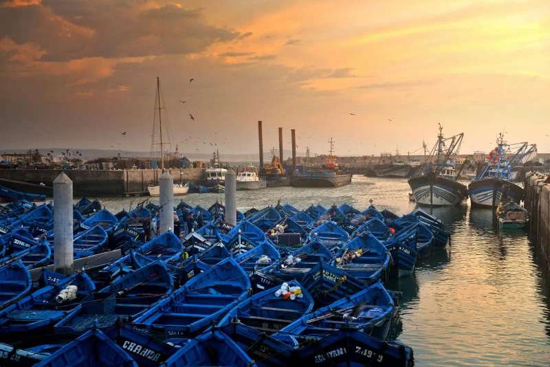 Traditional blue fishing boats in Essaouira harbor at sunset - Atlantic coast Portuguese port town with working marina and fresh seafood