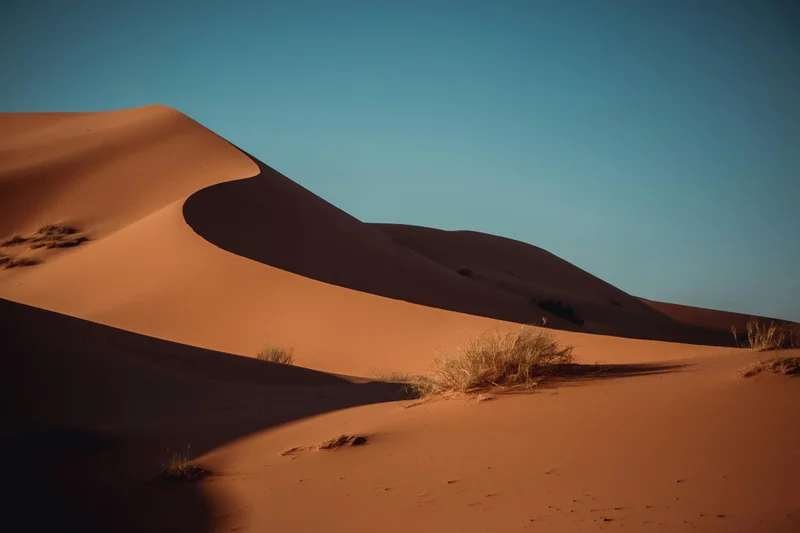 Golden sand dunes of Merzouga at sunset under clear sky - authentic Sahara Desert landscape showcasing natural beauty of Morocco's desert region