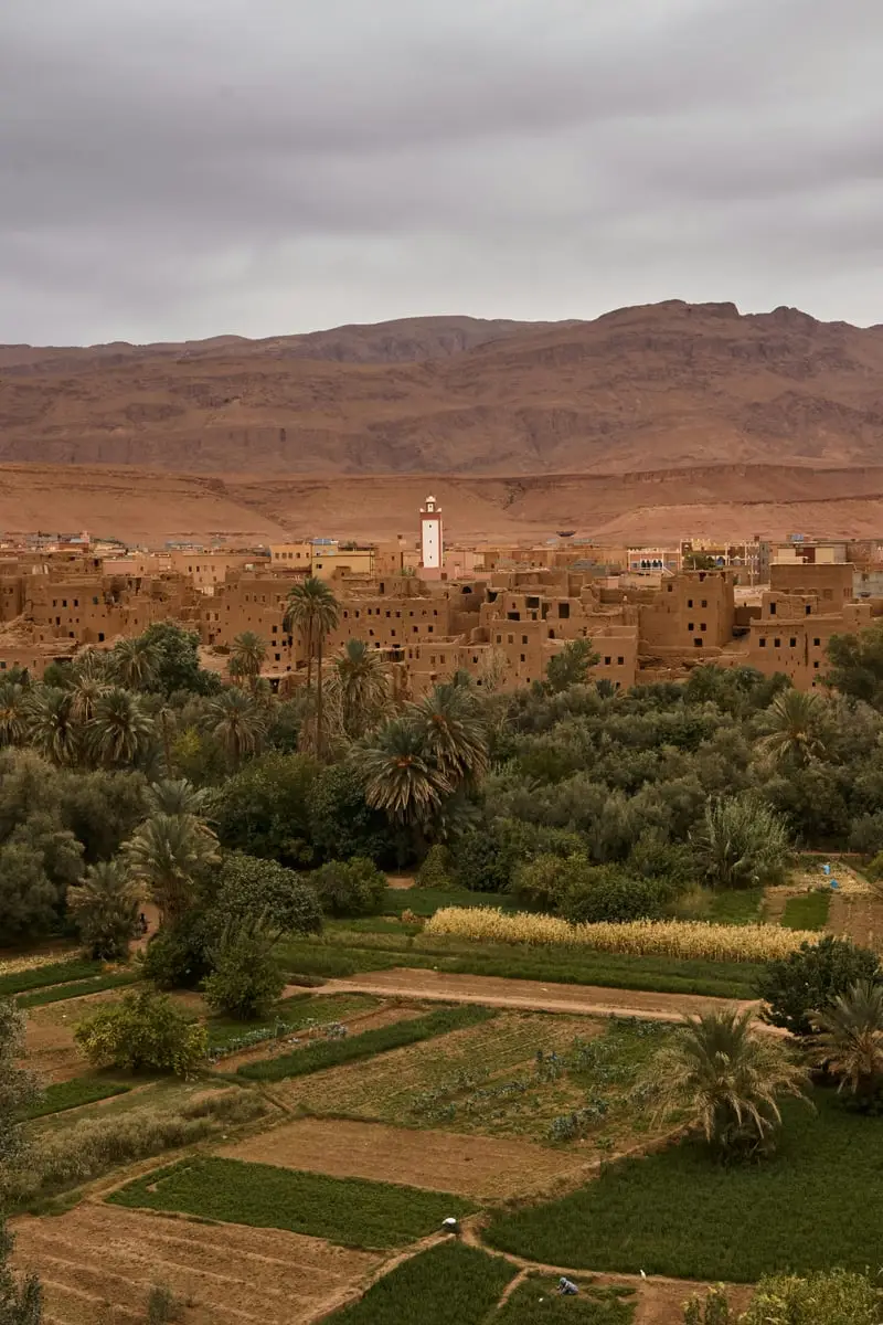 Lush green palm oasis valley near Tinghir with traditional kasbahs and desert mountains showing Morocco's dramatic seasonal landscape contrasts