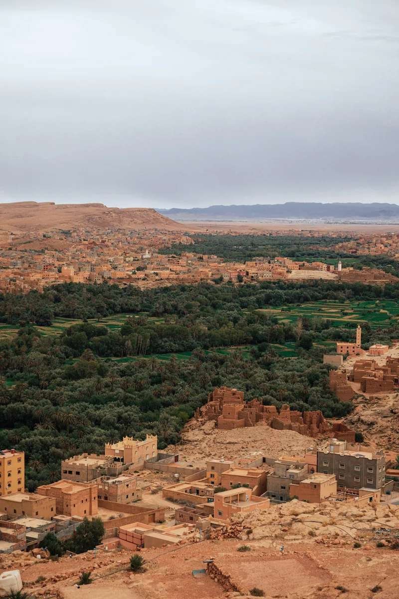Aerial view of Tinghir Oasis showing lush palm groves and earthen villages beneath desert hills
