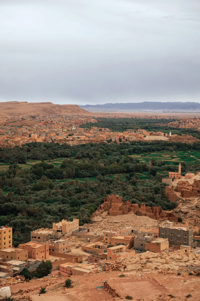 Aerial view of Tinghir Oasis showing lush palm groves and earthen villages beneath desert hills