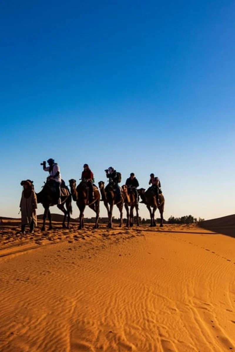 Family-friendly camel caravan crossing Sahara dunes - Morocco family adventure